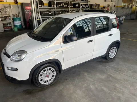 FIAT PANDA – foto 9
