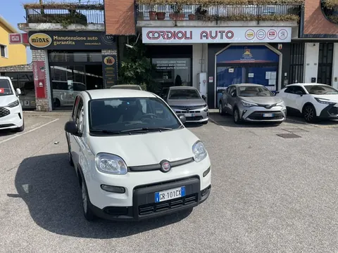 FIAT PANDA in vendita